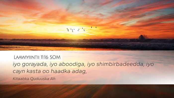 Laawiyiintii 11:16 SOM Desktop Wallpaper - iyo gorayada, iyo aboodiga, iyo shimbirbadeedda, - Desktop Bible Verse Wallpaper