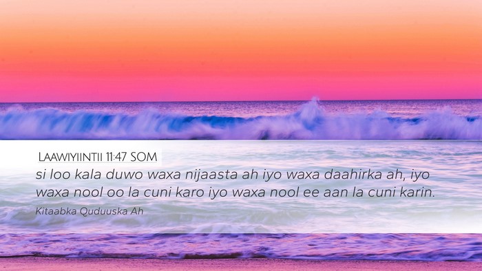 Laawiyiintii 11:47 SOM Bible Verse Image