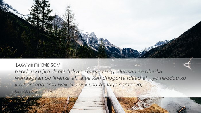 Laawiyiintii 13:48 SOM Desktop Wallpaper - hadduu ku jiro dunta fidsan amase tan gudubsan ee - Desktop Bible Verse Wallpaper