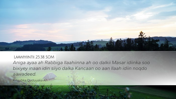 Laawiyiintii 25:38 SOM Bible Verse Image