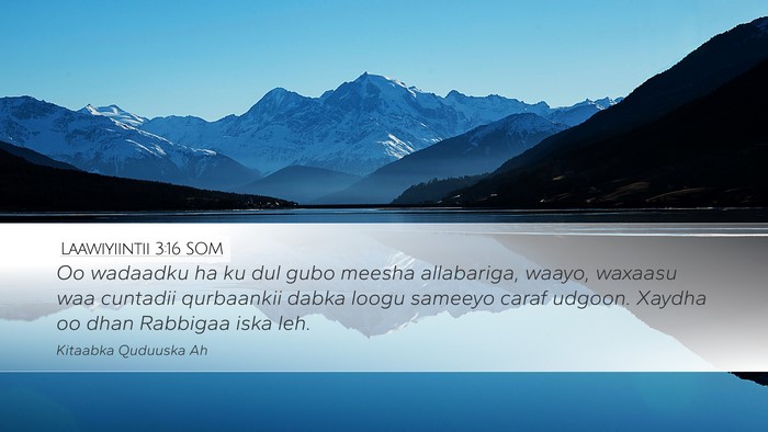 Laawiyiintii 3:16 SOM Bible Verse Image