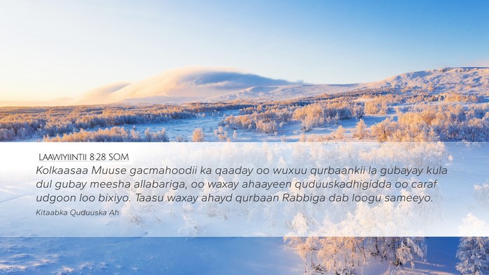 Laawiyiintii 8:28 SOM Desktop Wallpaper - Kolkaasaa Muuse gacmahoodii ka qaaday oo wuxuu - Desktop Bible Verse Wallpaper