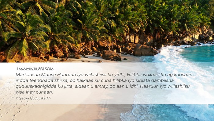 Laawiyiintii 8:31 SOM Bible Verse Image