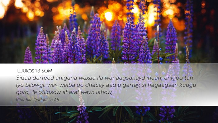 Luukos 1:3 SOM Bible Verse Image