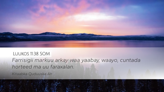 Luukos 11:38 SOM Bible Verse Image