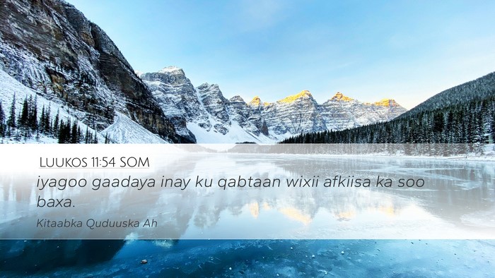 Luukos 11:54 SOM Bible Verse Image