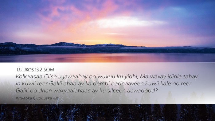 Luukos 13:2 SOM Bible Verse Image