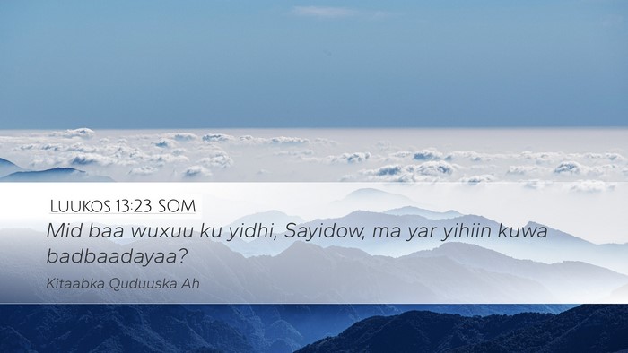 Luukos 13:23 SOM Bible Verse Image