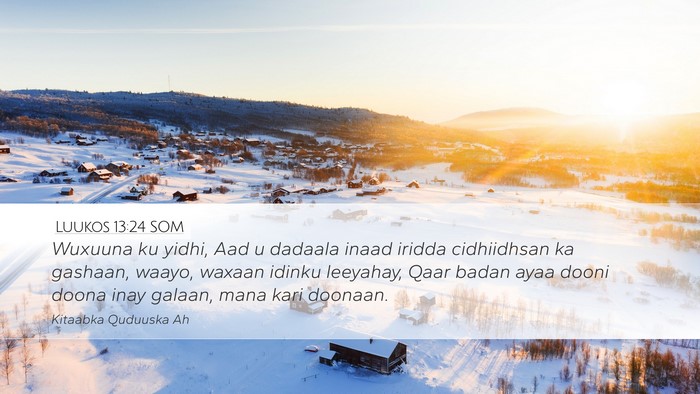 Luukos 13:24 SOM Bible Verse Image