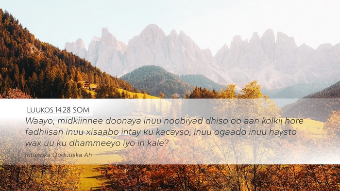 Luukos 14:28 SOM Desktop Wallpaper - Waayo, midkiinnee doonaya inuu noobiyad dhiso oo - Desktop Bible Verse Wallpaper
