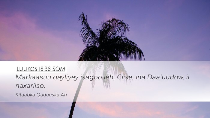 Luukos 18:38 SOM Bible Verse Image
