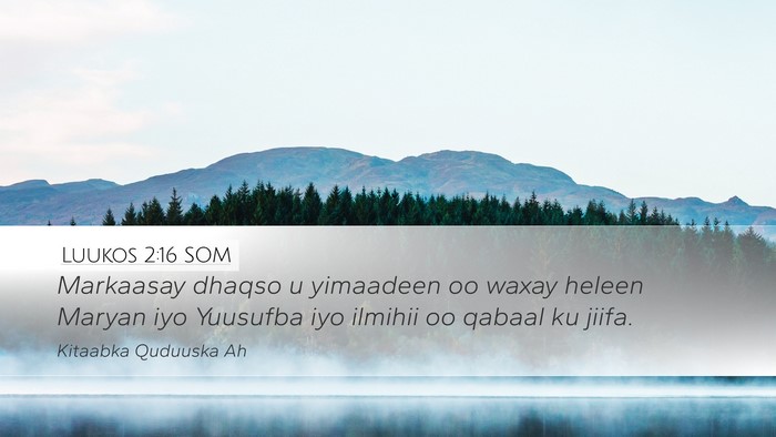 Luukos 2:16 SOM Bible Verse Image