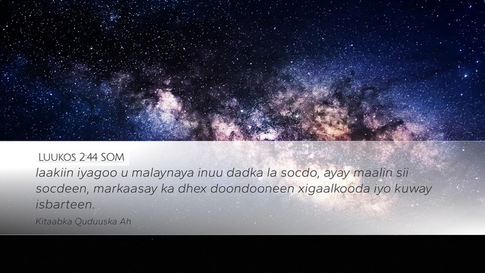 Luukos 2:44 SOM Bible Verse Image