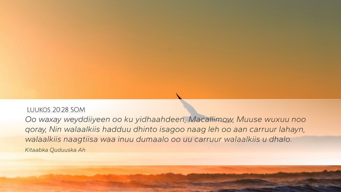Luukos 20:28 SOM Bible Verse Image