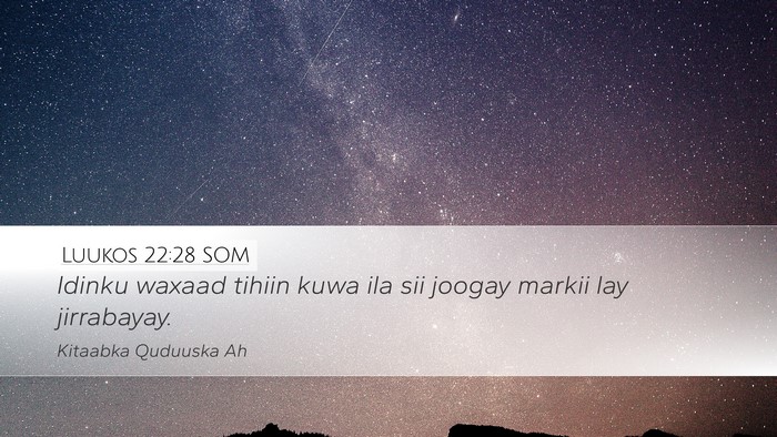 Luukos 22:28 SOM Bible Verse Image