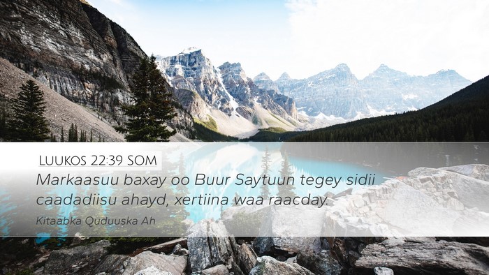 Luukos 22:39 SOM Desktop Wallpaper - Markaasuu baxay oo Buur Saytuun tegey sidii - Desktop Bible Verse Wallpaper