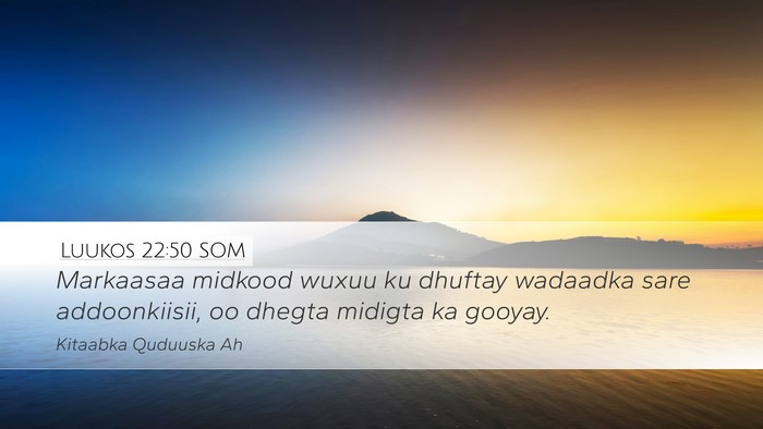 Luukos 22:50 SOM Desktop Wallpaper - Markaasaa midkood wuxuu ku dhuftay wadaadka sare - Desktop Bible Verse Wallpaper