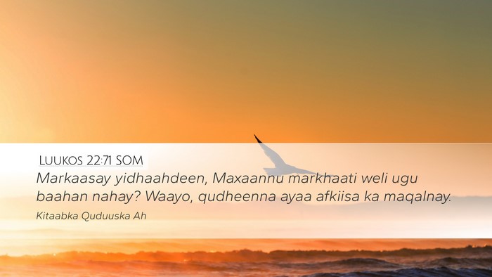 Luukos 22:71 SOM Desktop Wallpaper - Markaasay yidhaahdeen, Maxaannu markhaati weli - Desktop Bible Verse Wallpaper