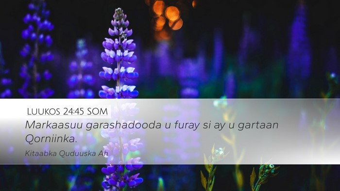 Luukos 24:45 SOM Bible Verse Image