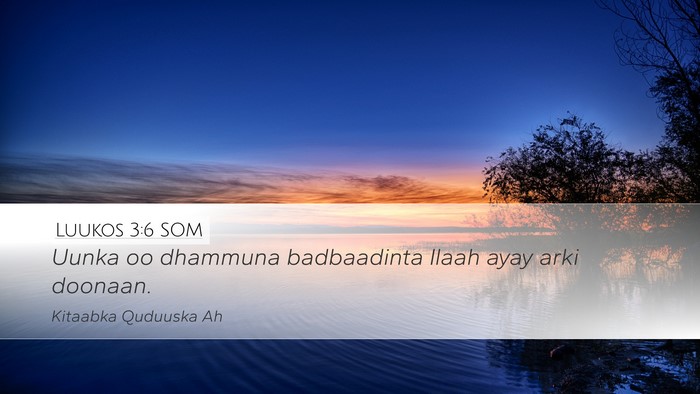 Luukos 3:6 SOM Bible Verse Image