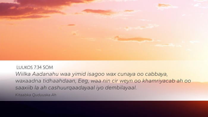 Luukos 7:34 SOM Bible Verse Image