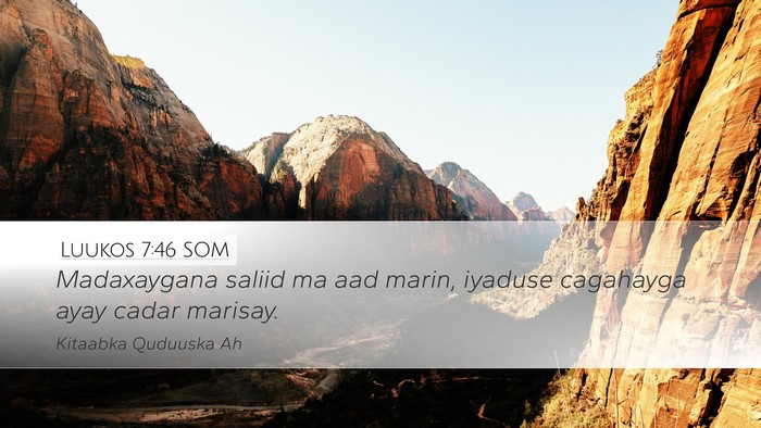 Luukos 7:46 SOM Bible Verse Image