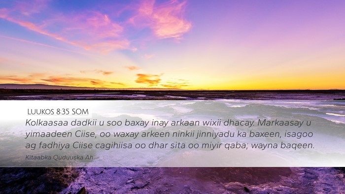 Luukos 8:35 SOM Bible Verse Image