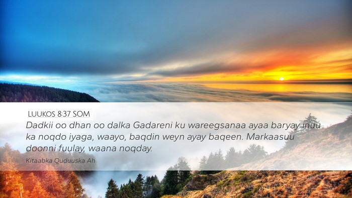 Luukos 8:37 SOM Bible Verse Image