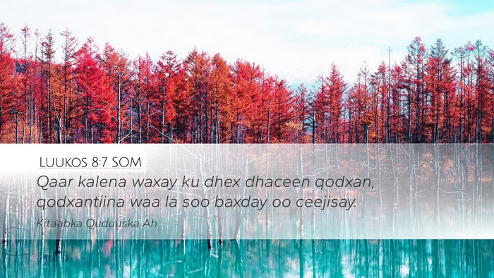 Luukos 8:7 SOM Bible Verse Image