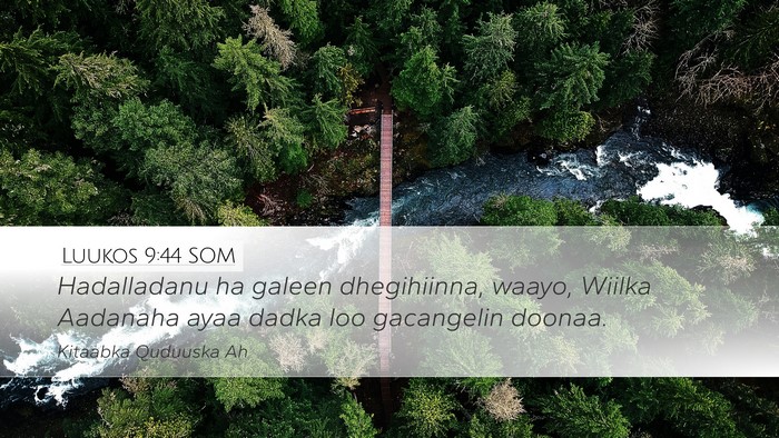 Luukos 9:44 SOM Bible Verse Image