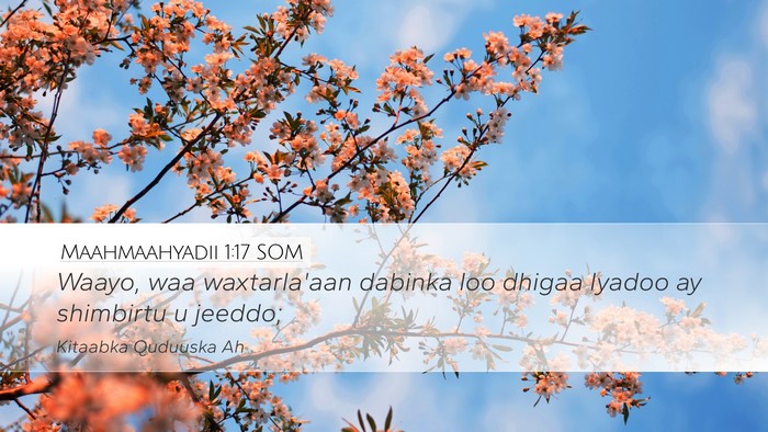 Maahmaahyadii 1:17 SOM Bible Verse Image