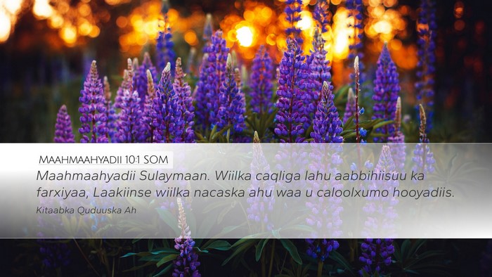 Maahmaahyadii 10:1 SOM Bible Verse Image