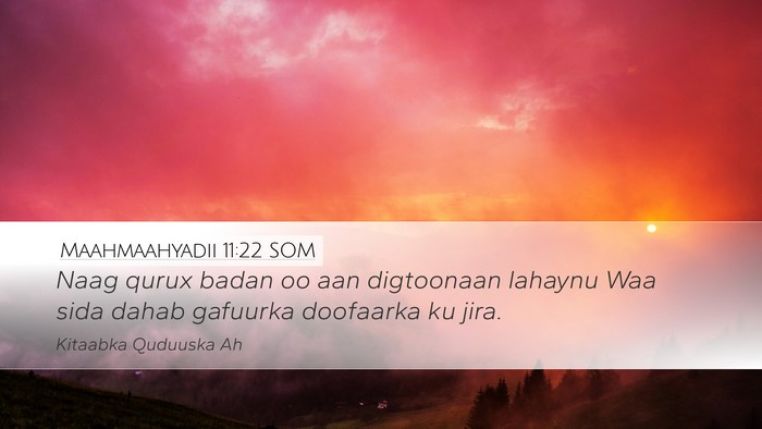 Maahmaahyadii 11:22 SOM Desktop Wallpaper - Naag qurux badan oo aan digtoonaan lahaynu Waa - Desktop Bible Verse Wallpaper