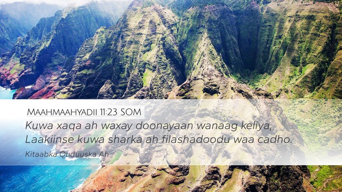 Maahmaahyadii 11:23 SOM Bible Verse Image