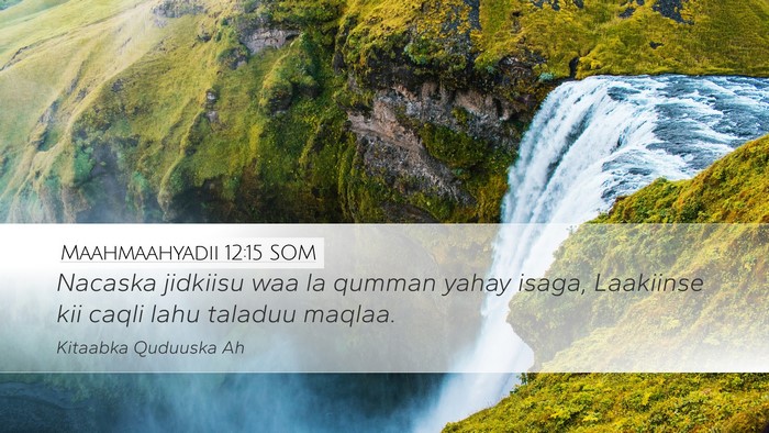 Maahmaahyadii 12:15 SOM Bible Verse Image