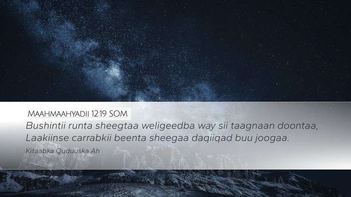 Maahmaahyadii 12:19 SOM Bible Verse Image
