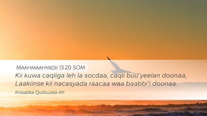Maahmaahyadii 13:20 SOM Bible Verse Image