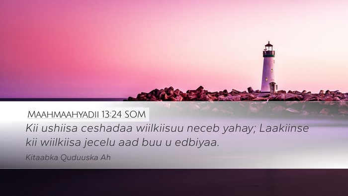 Maahmaahyadii 13:24 SOM Bible Verse Image