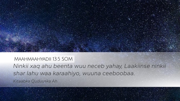 Maahmaahyadii 13:5 SOM Desktop Wallpaper - Ninkii xaq ahu beenta wuu neceb yahay, Laakiinse - Desktop Bible Verse Wallpaper