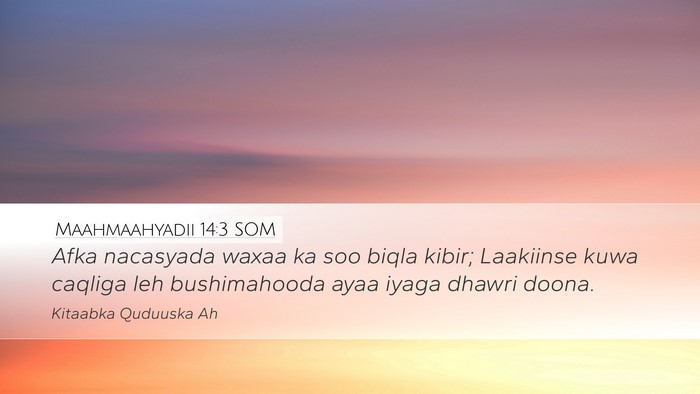 Maahmaahyadii 14:3 SOM Bible Verse Image