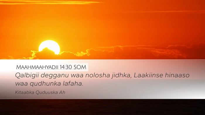 Maahmaahyadii 14:30 SOM Bible Verse Image