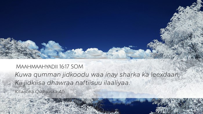 Maahmaahyadii 16:17 SOM Bible Verse Image