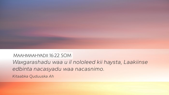 Maahmaahyadii 16:22 SOM Bible Verse Image
