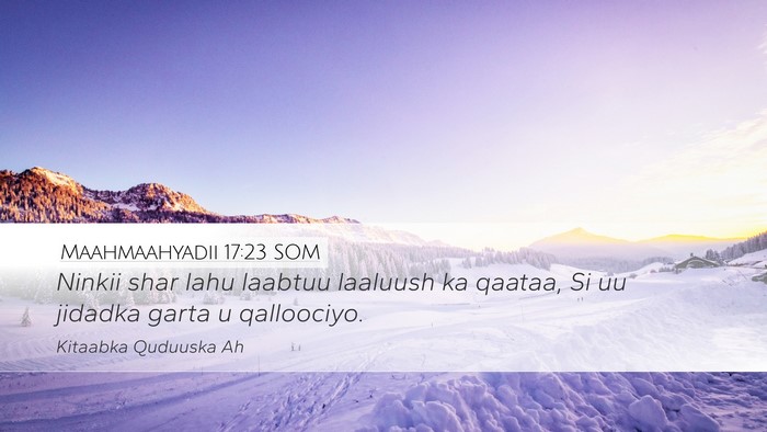 Maahmaahyadii 17:23 SOM Bible Verse Image