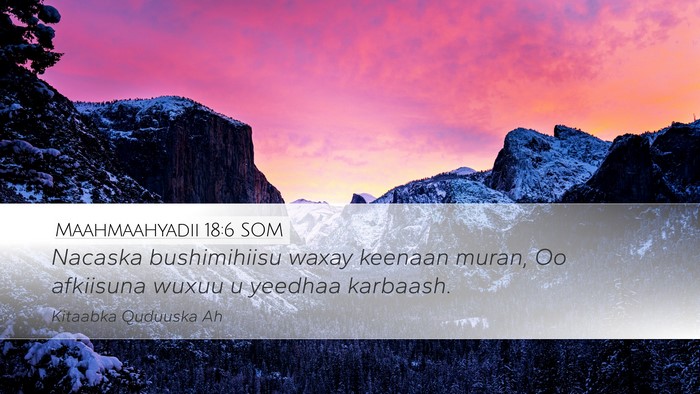 Maahmaahyadii 18:6 SOM Bible Verse Image