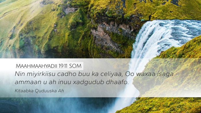 Maahmaahyadii 19:11 SOM Desktop Wallpaper - Nin miyirkiisu cadho buu ka celiyaa, Oo waxaa - Desktop Bible Verse Wallpaper