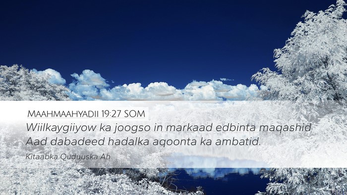 Maahmaahyadii 19:27 SOM Desktop Wallpaper - Wiilkaygiiyow ka joogso in markaad edbinta - Desktop Bible Verse Wallpaper