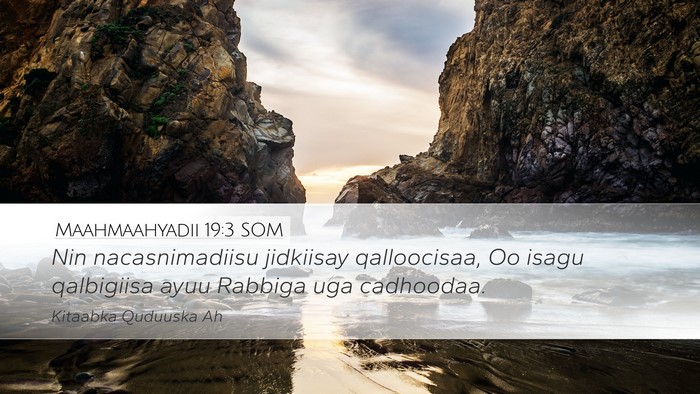 Maahmaahyadii 19:3 SOM Desktop Wallpaper - Nin nacasnimadiisu jidkiisay qalloocisaa, Oo - Desktop Bible Verse Wallpaper