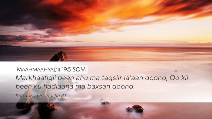 Maahmaahyadii 19:5 SOM Desktop Wallpaper - Markhaatigii been ahu ma taqsiir la'aan doono, Oo - Desktop Bible Verse Wallpaper