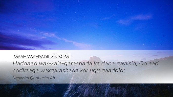 Maahmaahyadii 2:3 SOM Bible Verse Image